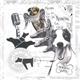 Breakmaster Cylinder - Musique Pour Les Pubs De Nourriture Pour Chiens